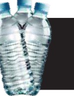 Bottled Water (1 Liter)