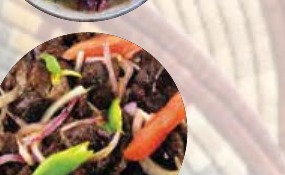 Lamb Tibs