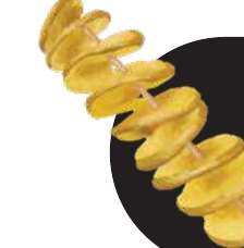 Stick Fries